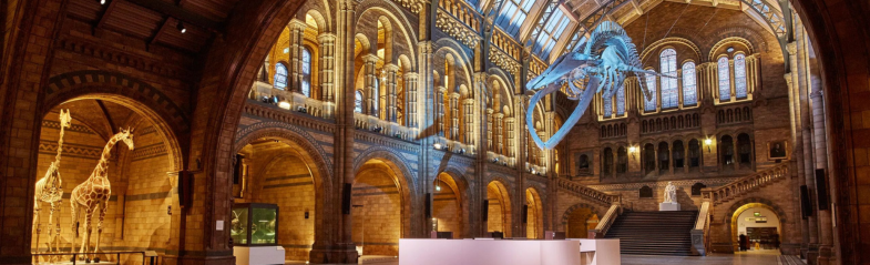 The inside of The Natural History Museum surrounded by fossils collection