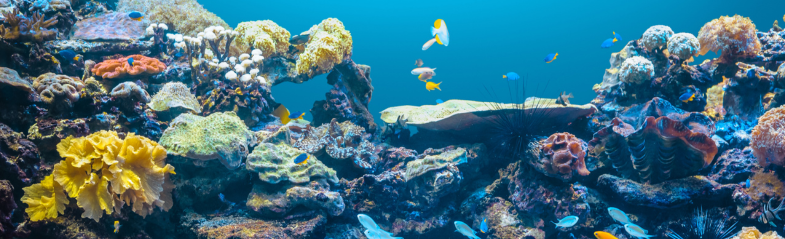 jurusan kuliah di australia