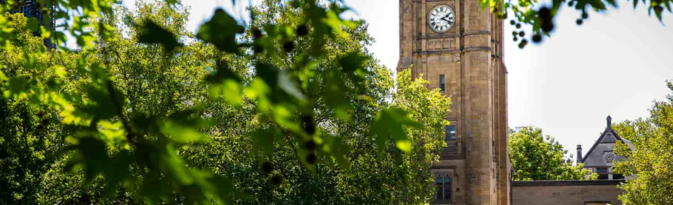 university of melbourne menjadi salah satu kampus group of eight di australia